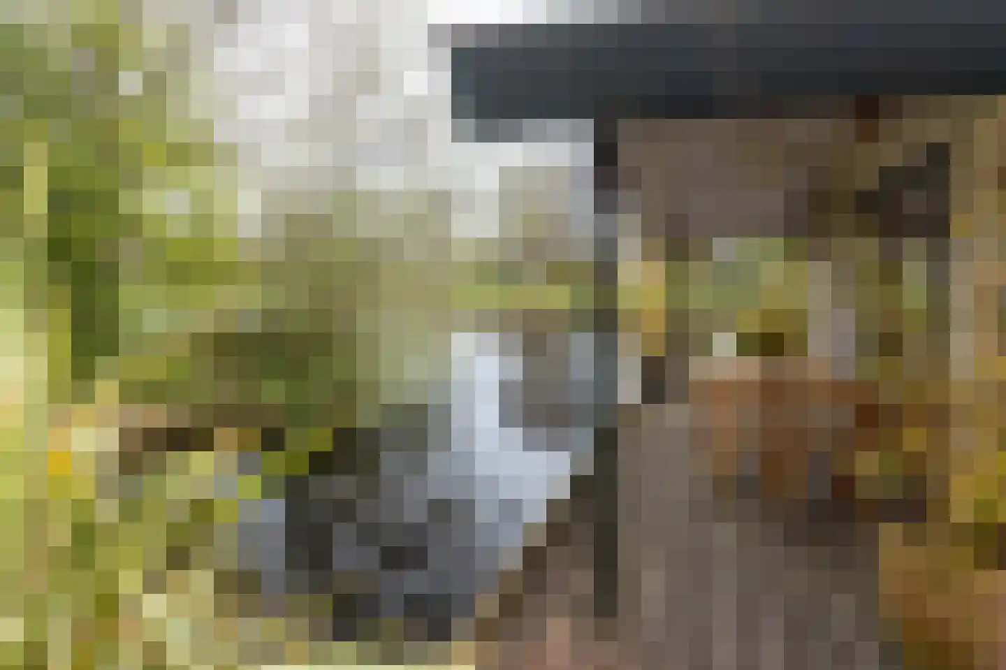 Groene Dijk N.Z. 21 Assen thumbnail 37