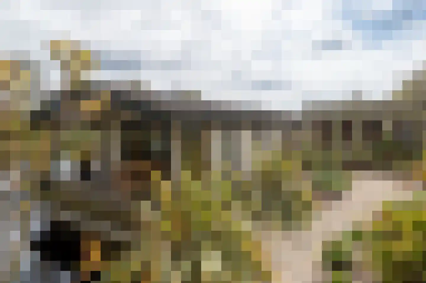Groene Dijk N.Z. 21 Assen thumbnail 39