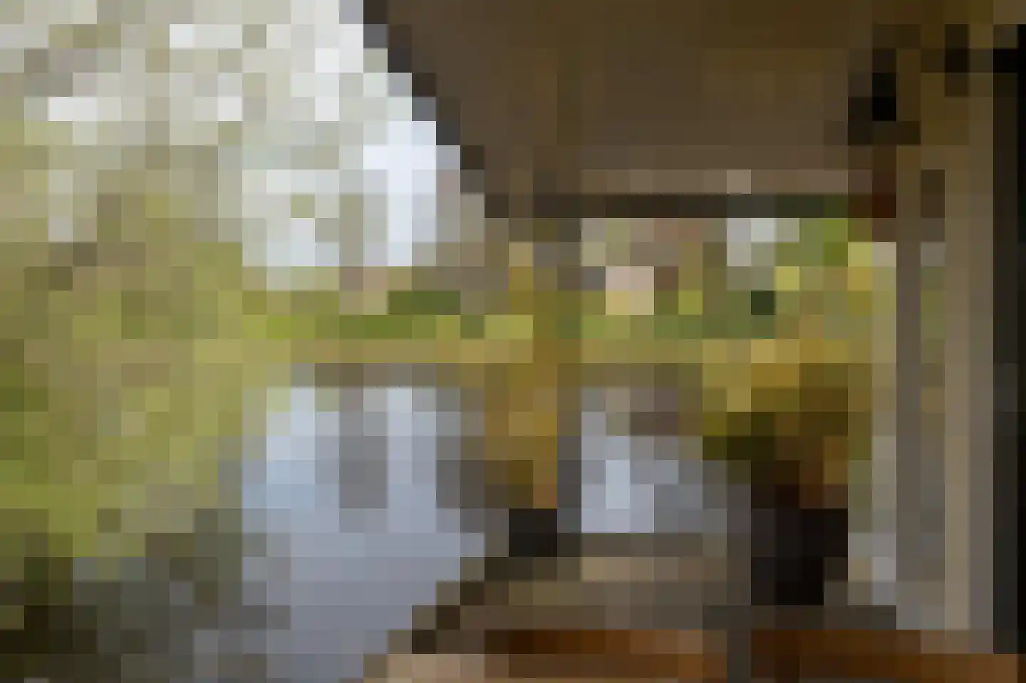 Groene Dijk N.Z. 21 Assen thumbnail 40