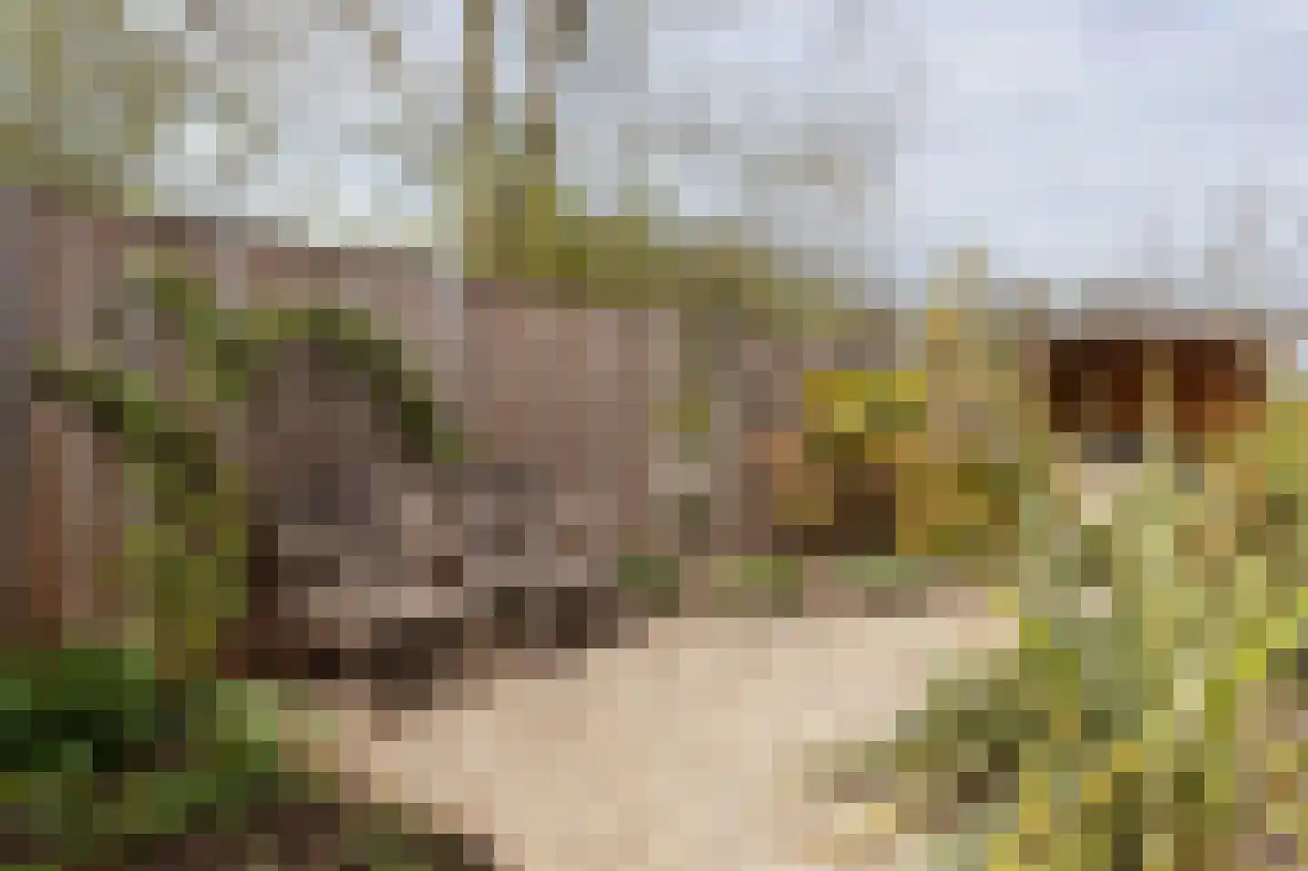 Groene Dijk N.Z. 21 Assen thumbnail 43