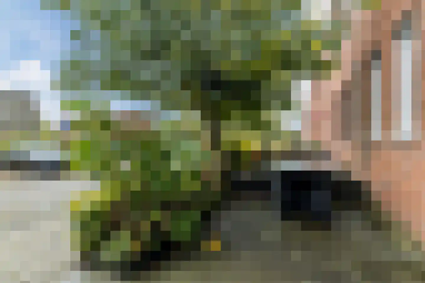 Groene Draecklaan 1 Vleuten thumbnail 56