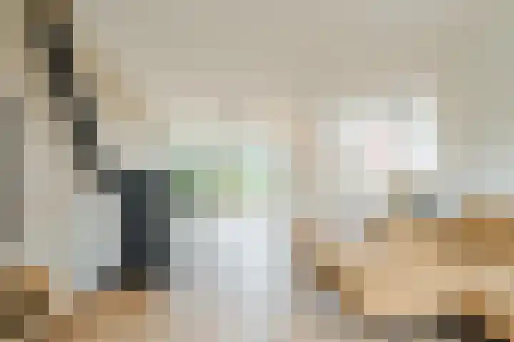 Groene Dreef 9 Heerjansdam thumbnail 14