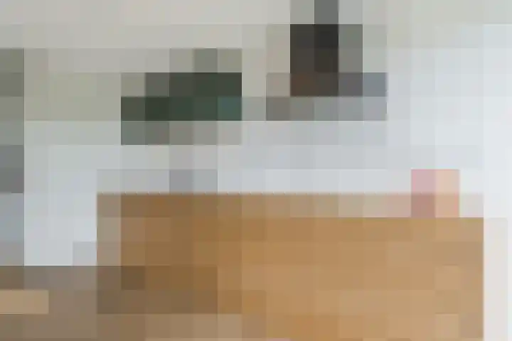 Groene Dreef 9 Heerjansdam thumbnail 17