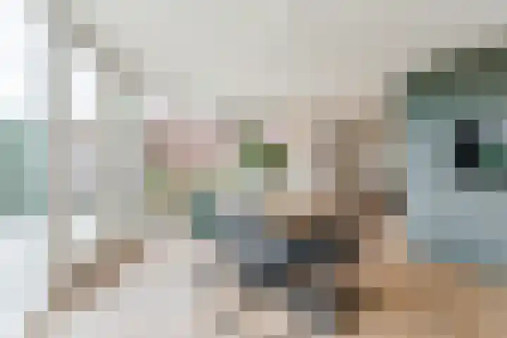 Groene Dreef 9 Heerjansdam thumbnail 20