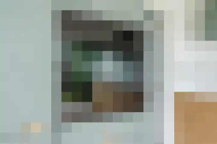 Groene Dreef 9 Heerjansdam thumbnail 22