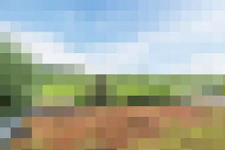 Groene Dreef 9 Heerjansdam thumbnail 31