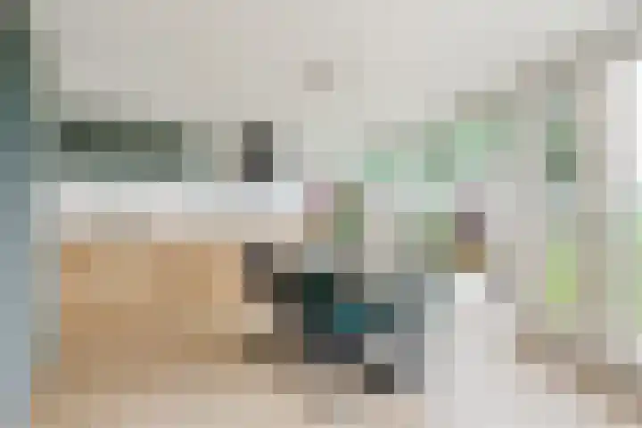 Groene Dreef 9 Heerjansdam thumbnail 4