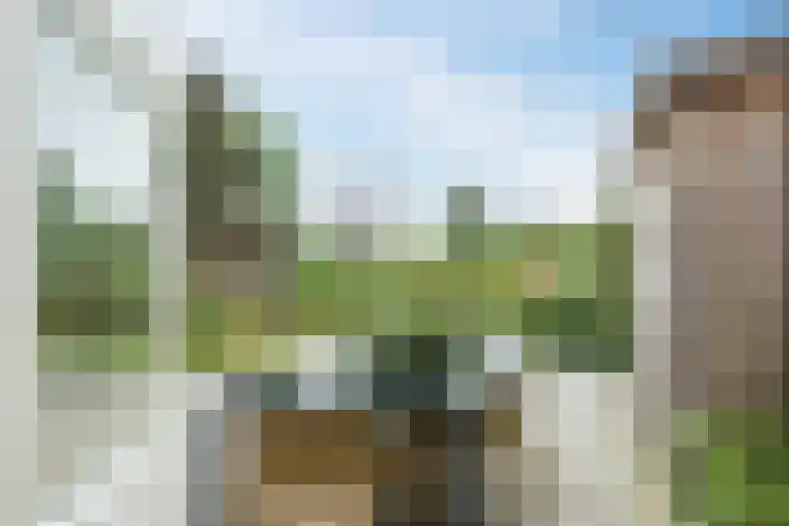 Groene Dreef 9 Heerjansdam thumbnail 48