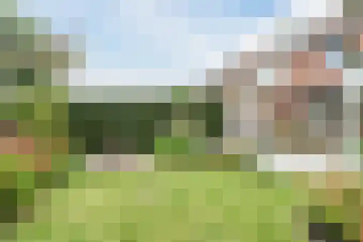 Groene Dreef 9 Heerjansdam thumbnail 5