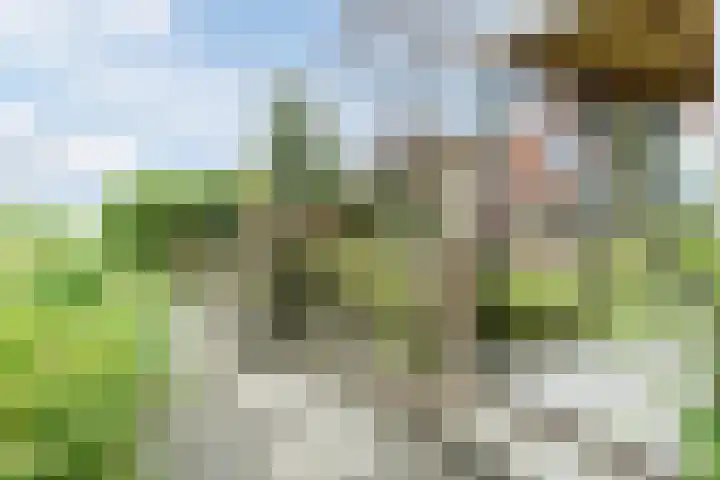 Groene Dreef 9 Heerjansdam thumbnail 51