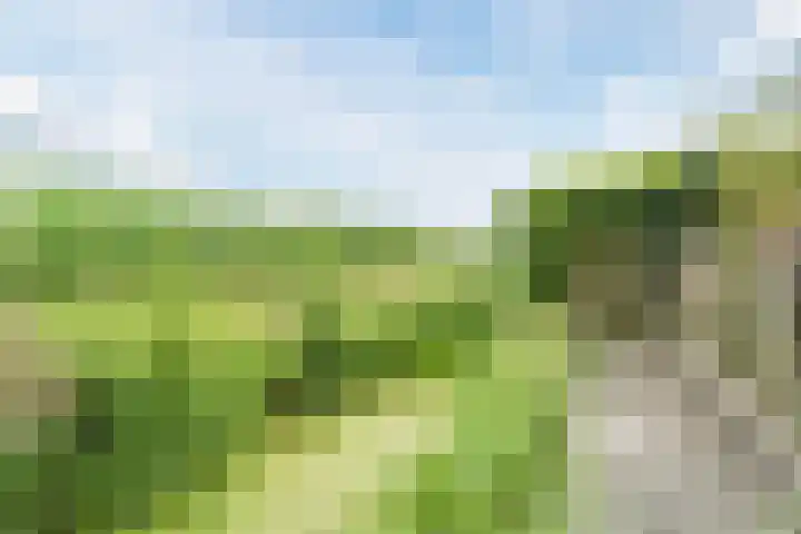 Groene Dreef 9 Heerjansdam thumbnail 52