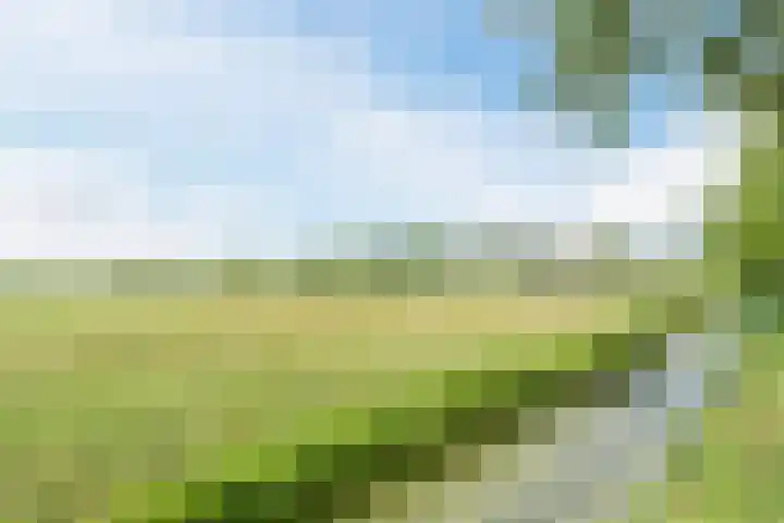 Groene Dreef 9 Heerjansdam thumbnail 53