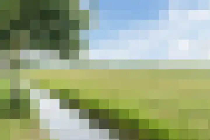 Groene Dreef 9 Heerjansdam thumbnail 54