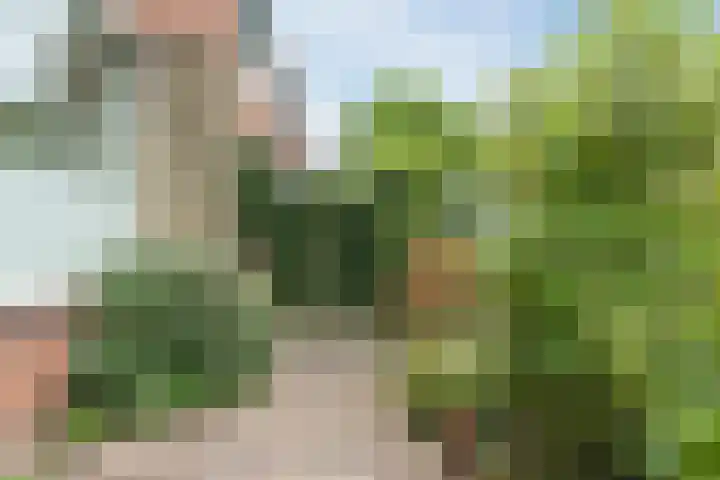 Groene Dreef 9 Heerjansdam thumbnail 6