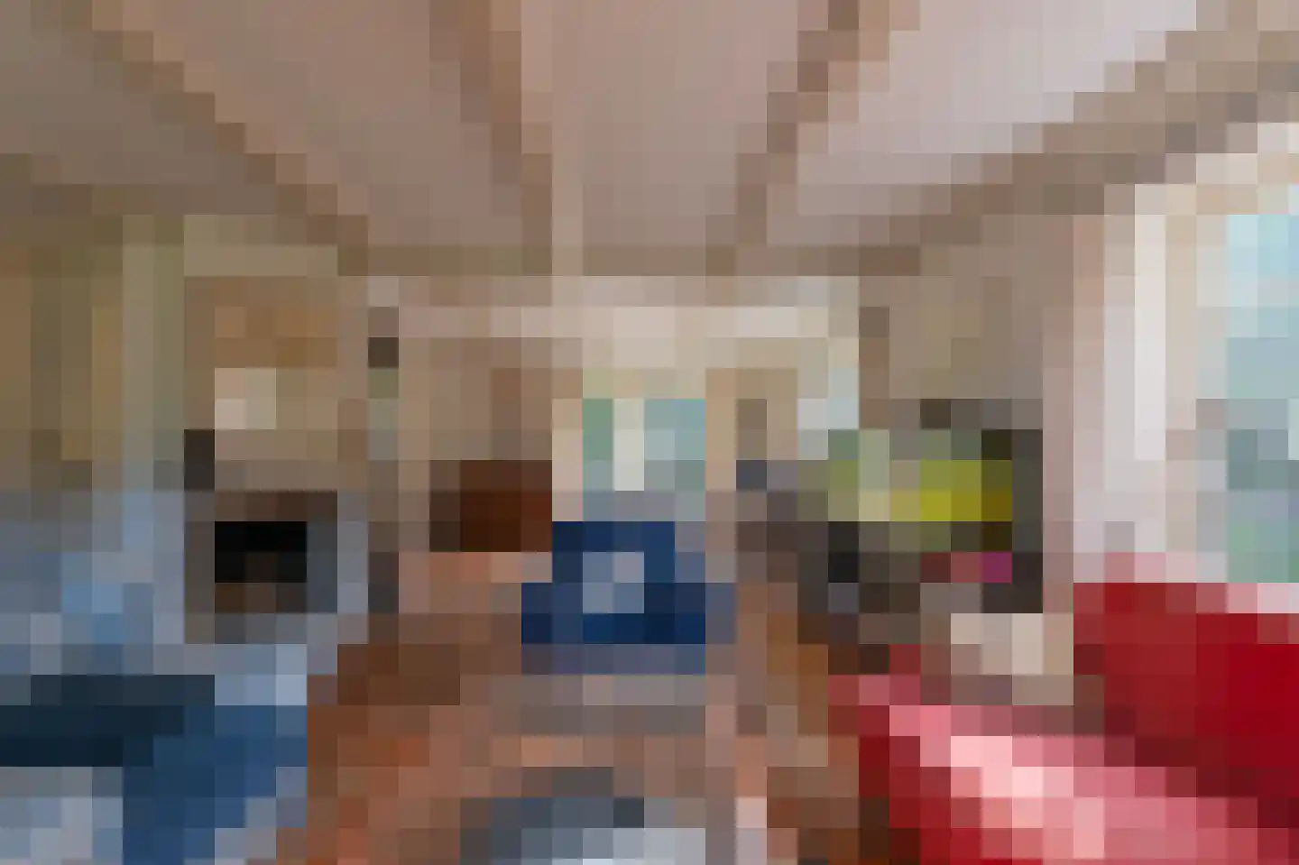 Groene Gerritsweg 1 Laren thumbnail 18