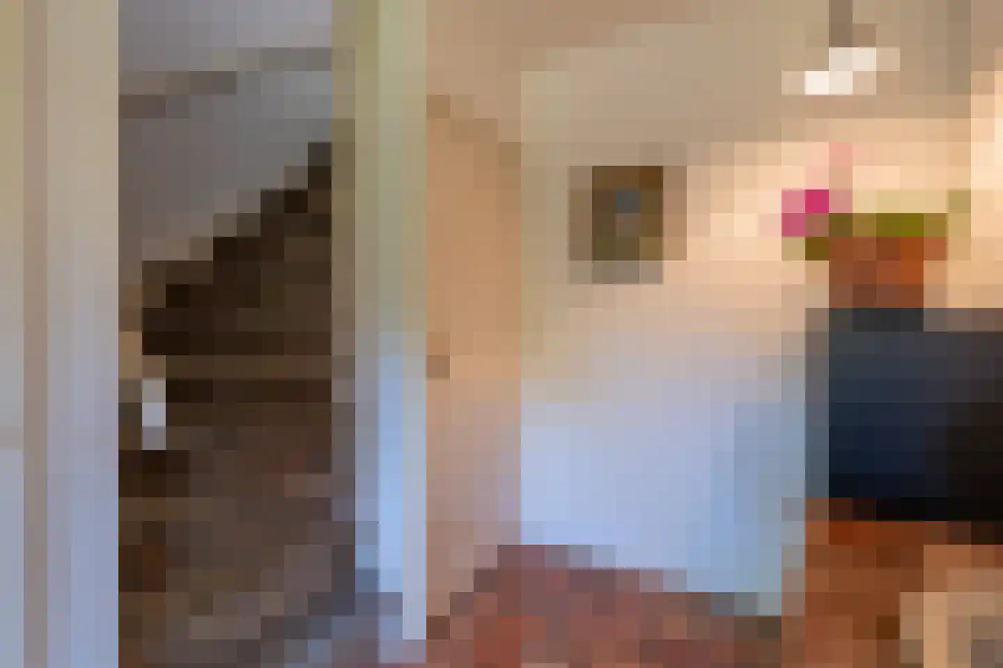 Groene Gerritsweg 1 Laren thumbnail 25