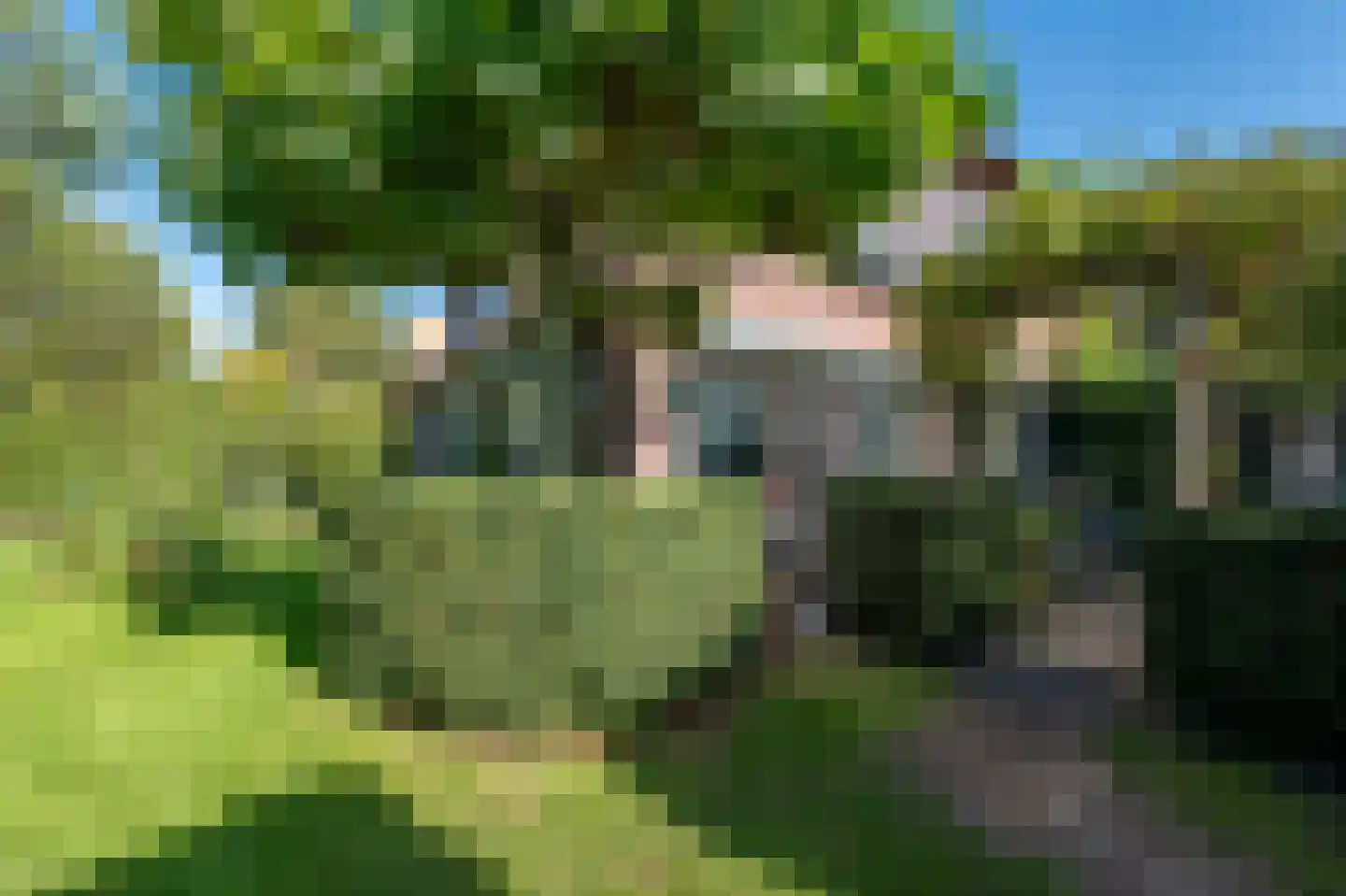 Groene Gerritsweg 1 Laren thumbnail 41
