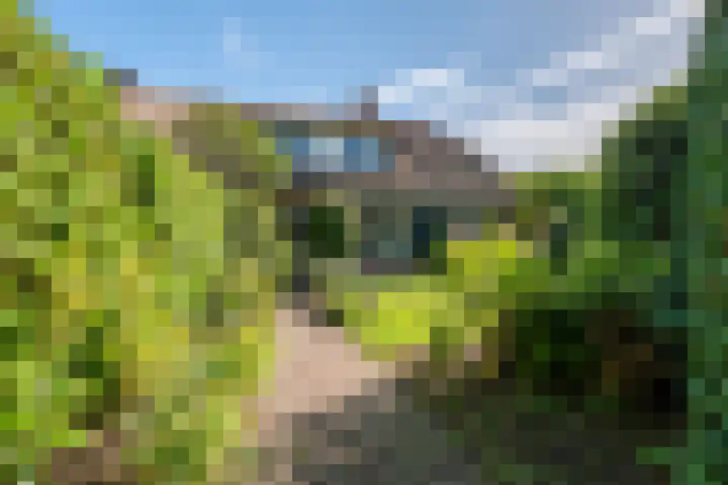 Groene Gerritsweg 1 Laren thumbnail 5