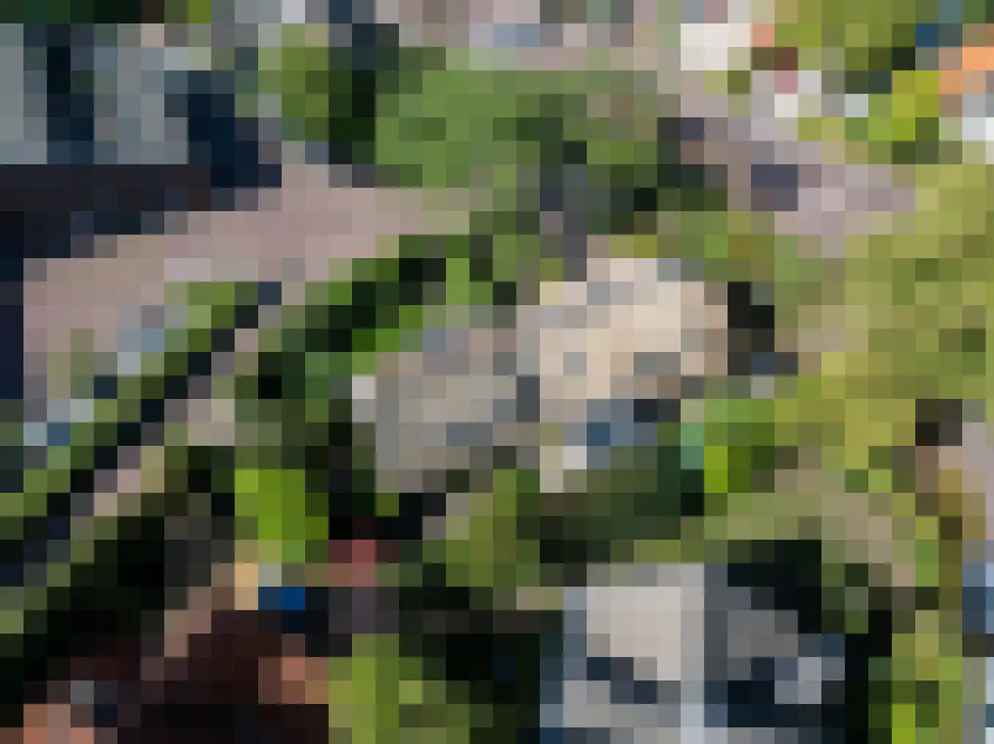 Groene Gerritsweg 1 Laren thumbnail 50