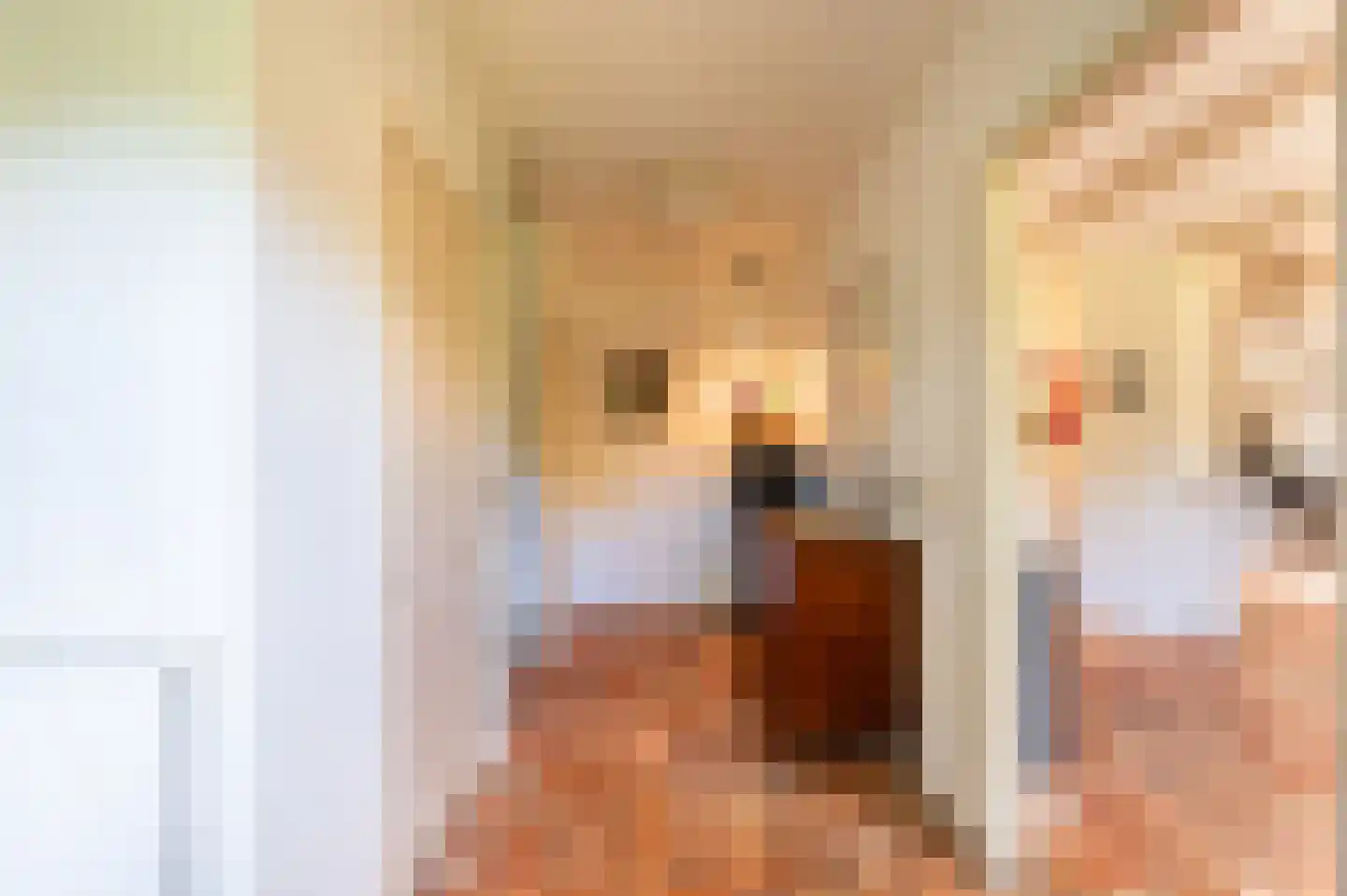 Groene Gerritsweg 1 Laren thumbnail 8