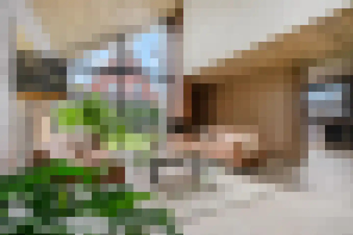 Groene Grens 4 Veenendaal thumbnail 13
