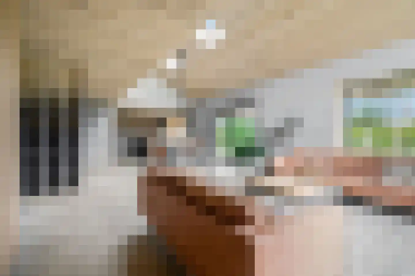 Groene Grens 4 Veenendaal thumbnail 14