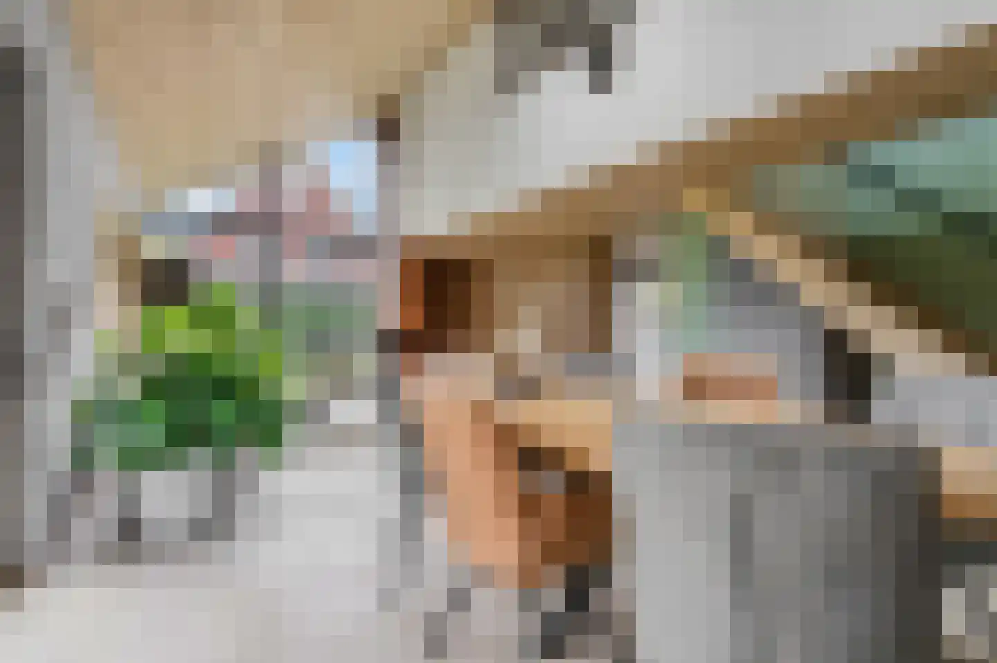 Groene Grens 4 Veenendaal thumbnail 16