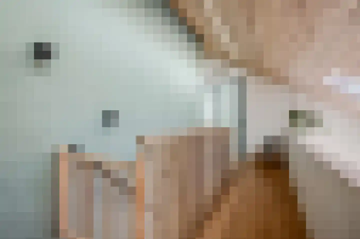 Groene Grens 4 Veenendaal thumbnail 30