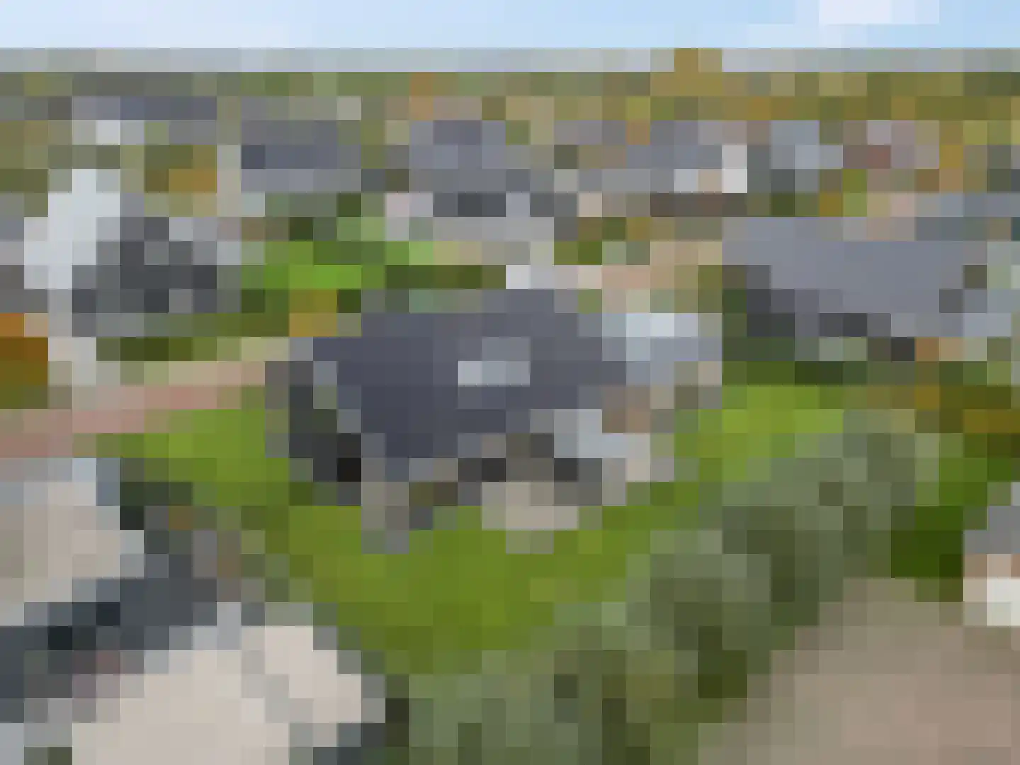 Groene Grens 4 Veenendaal thumbnail 47