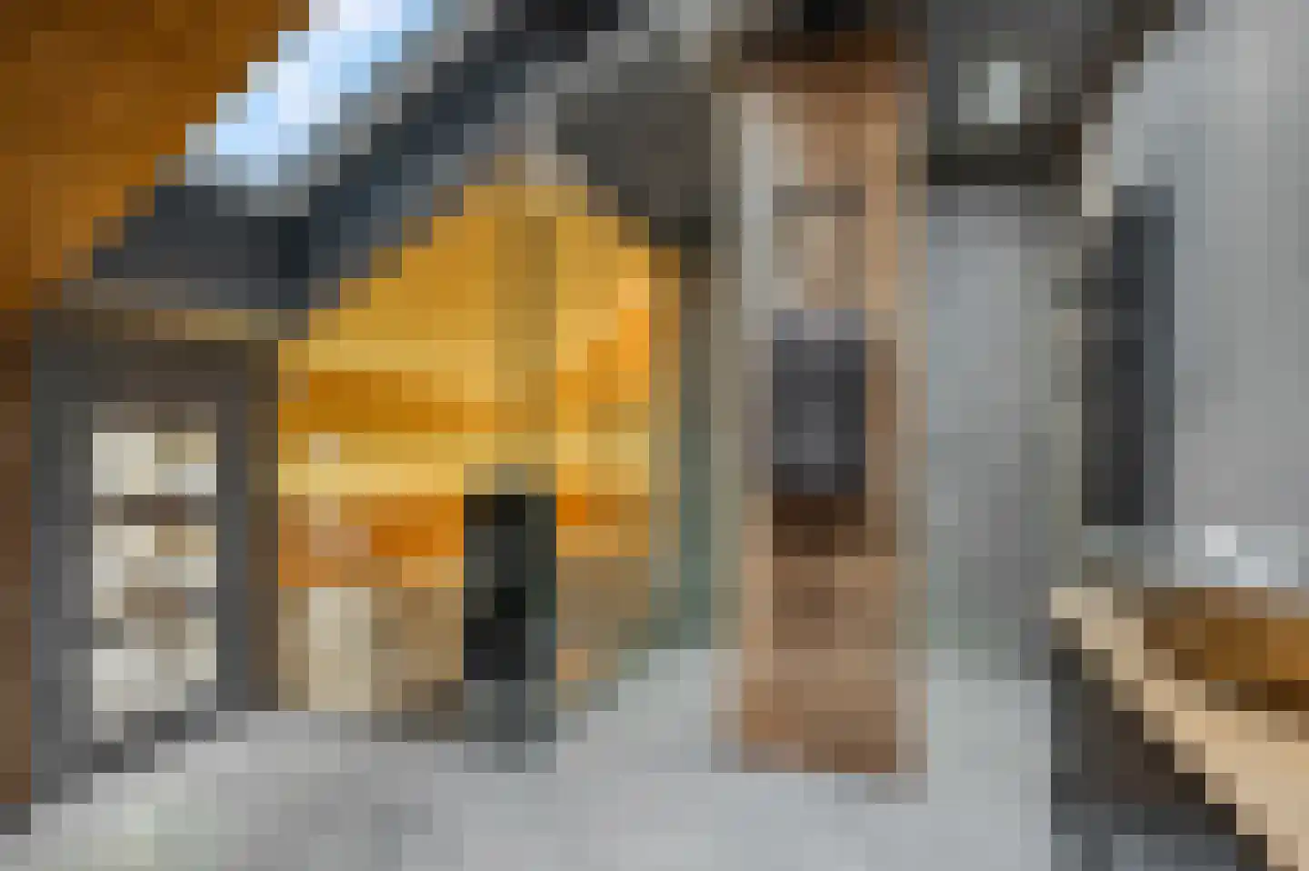 Groene Grens 4 Veenendaal thumbnail 5