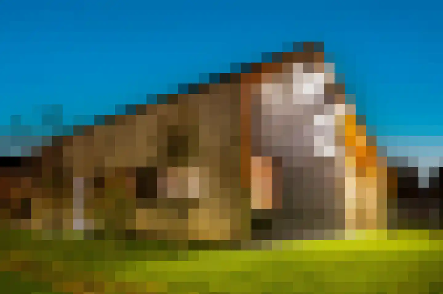 Groene Grens 4 Veenendaal thumbnail 52