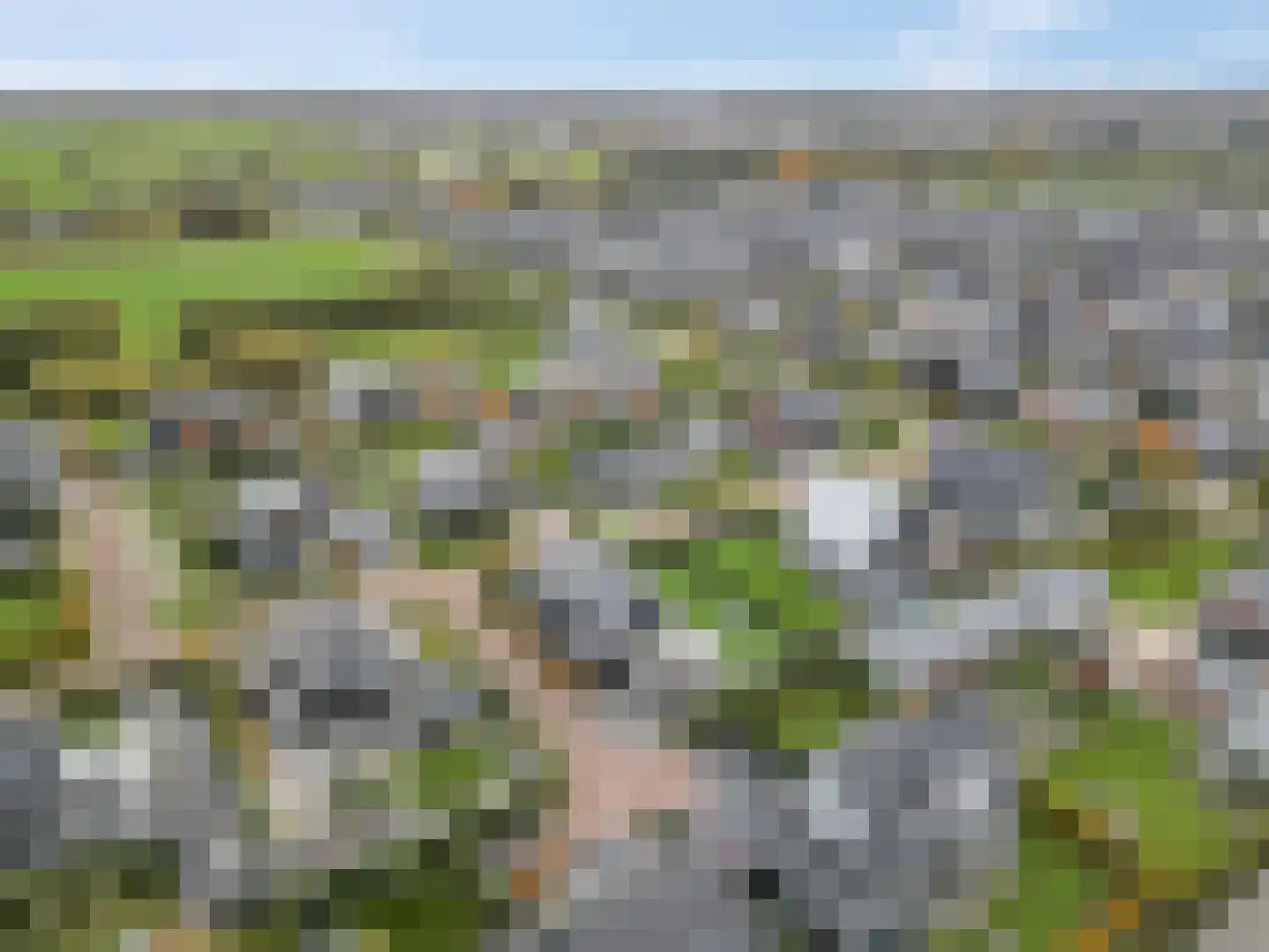 Groene Grens 4 Veenendaal thumbnail 56