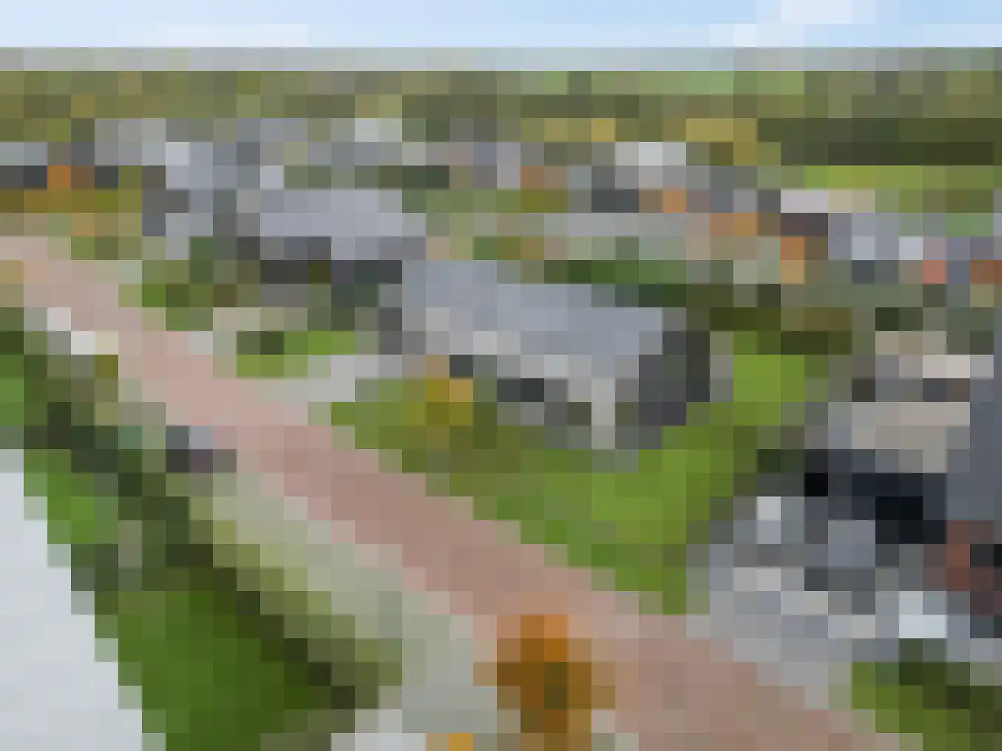 Groene Grens 4 Veenendaal thumbnail 7