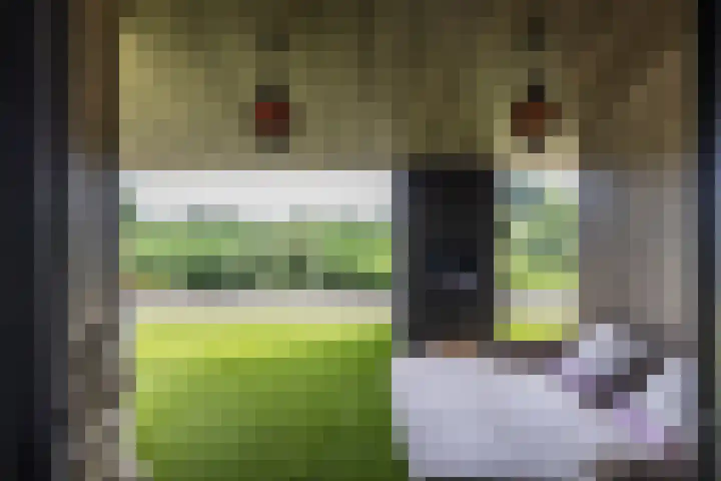 Groene Grens 46 Veenendaal thumbnail 12