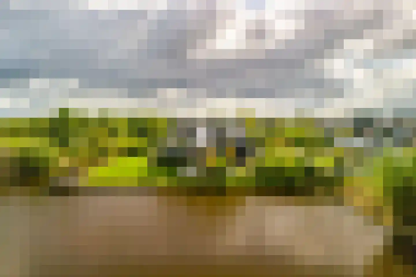 Groene Grens 46 Veenendaal thumbnail 13