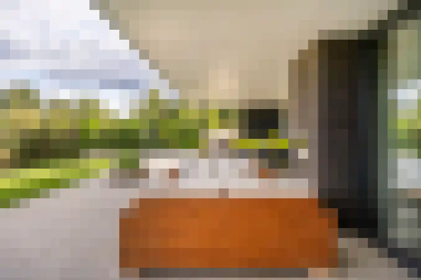 Groene Grens 46 Veenendaal thumbnail 14
