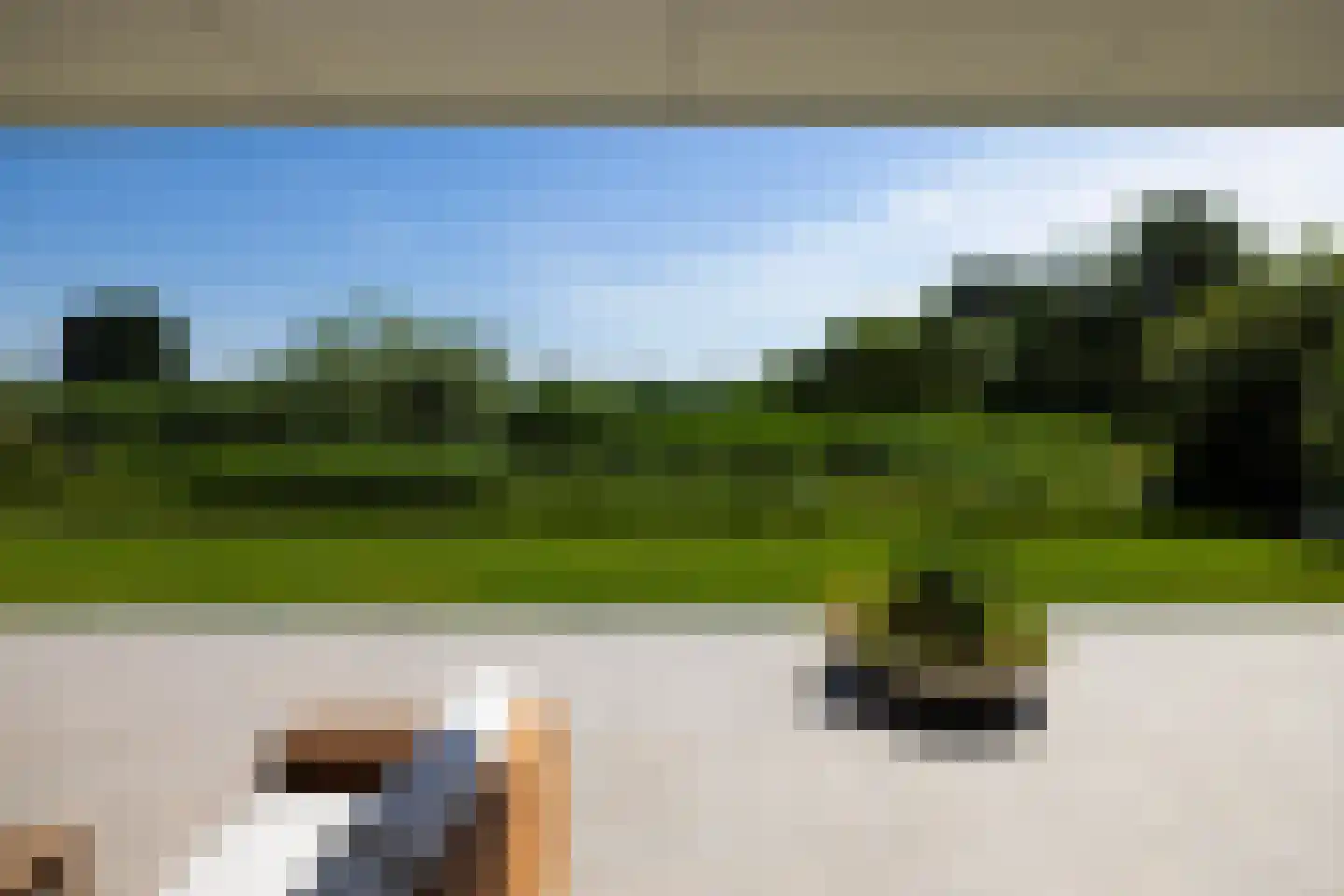 Groene Grens 46 Veenendaal thumbnail 19
