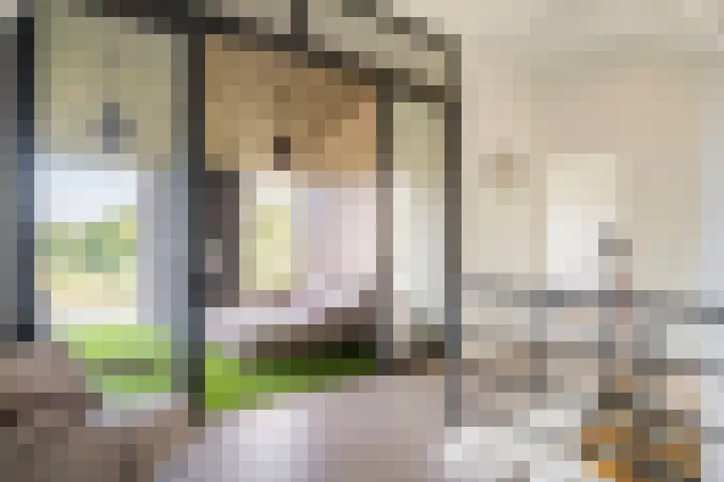 Groene Grens 46 Veenendaal thumbnail 20