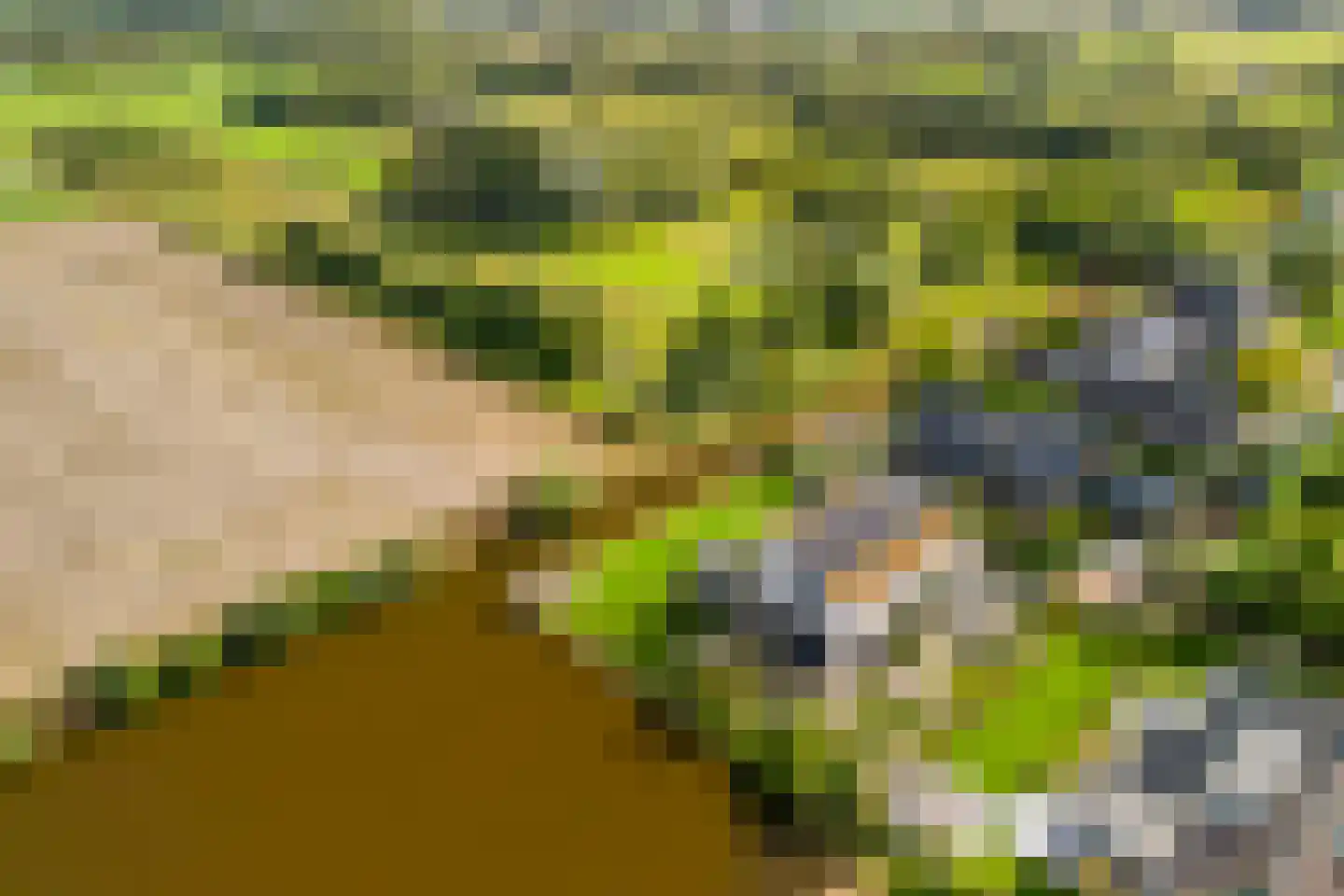 Groene Grens 46 Veenendaal thumbnail 21