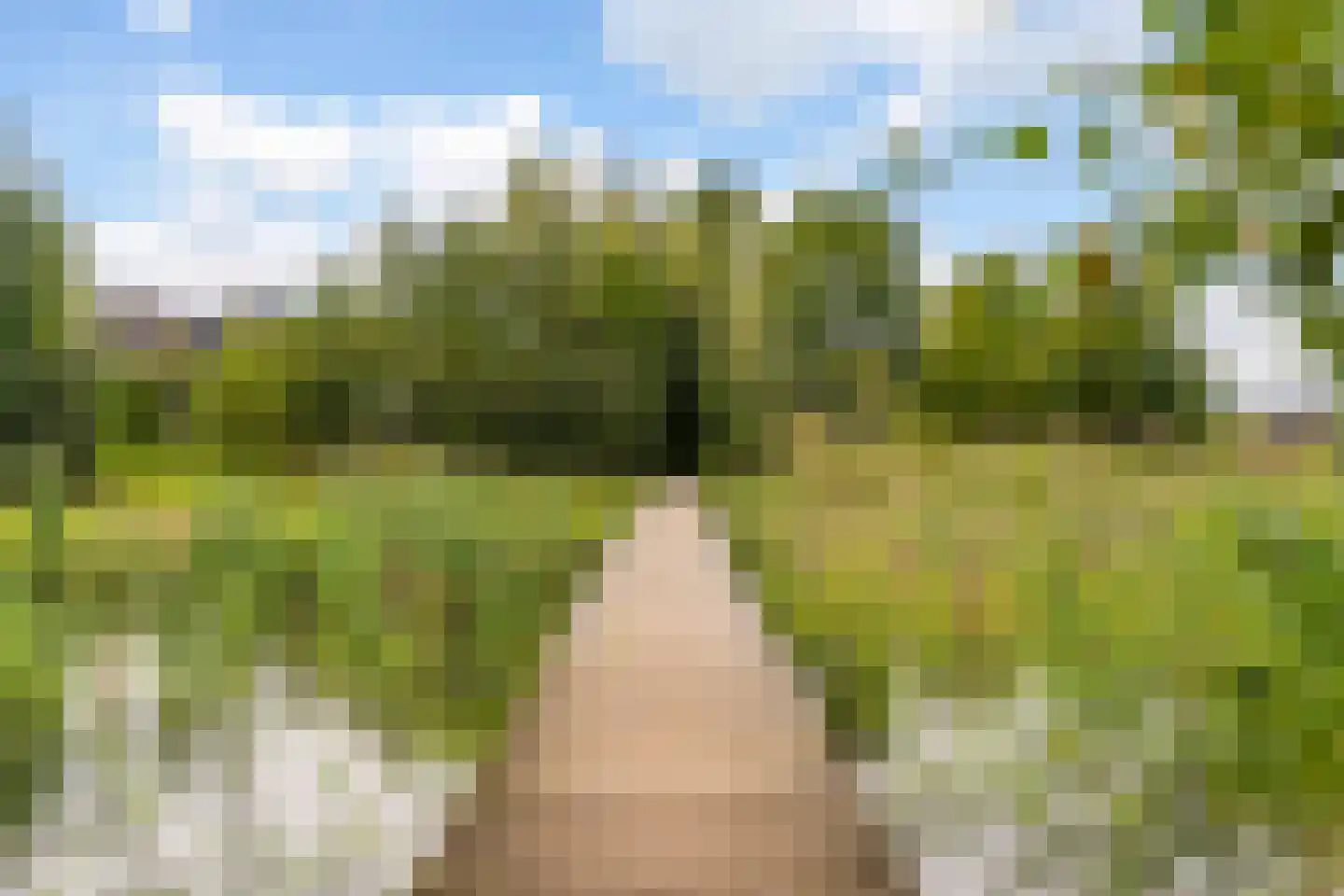 Groene Grens 46 Veenendaal thumbnail 31