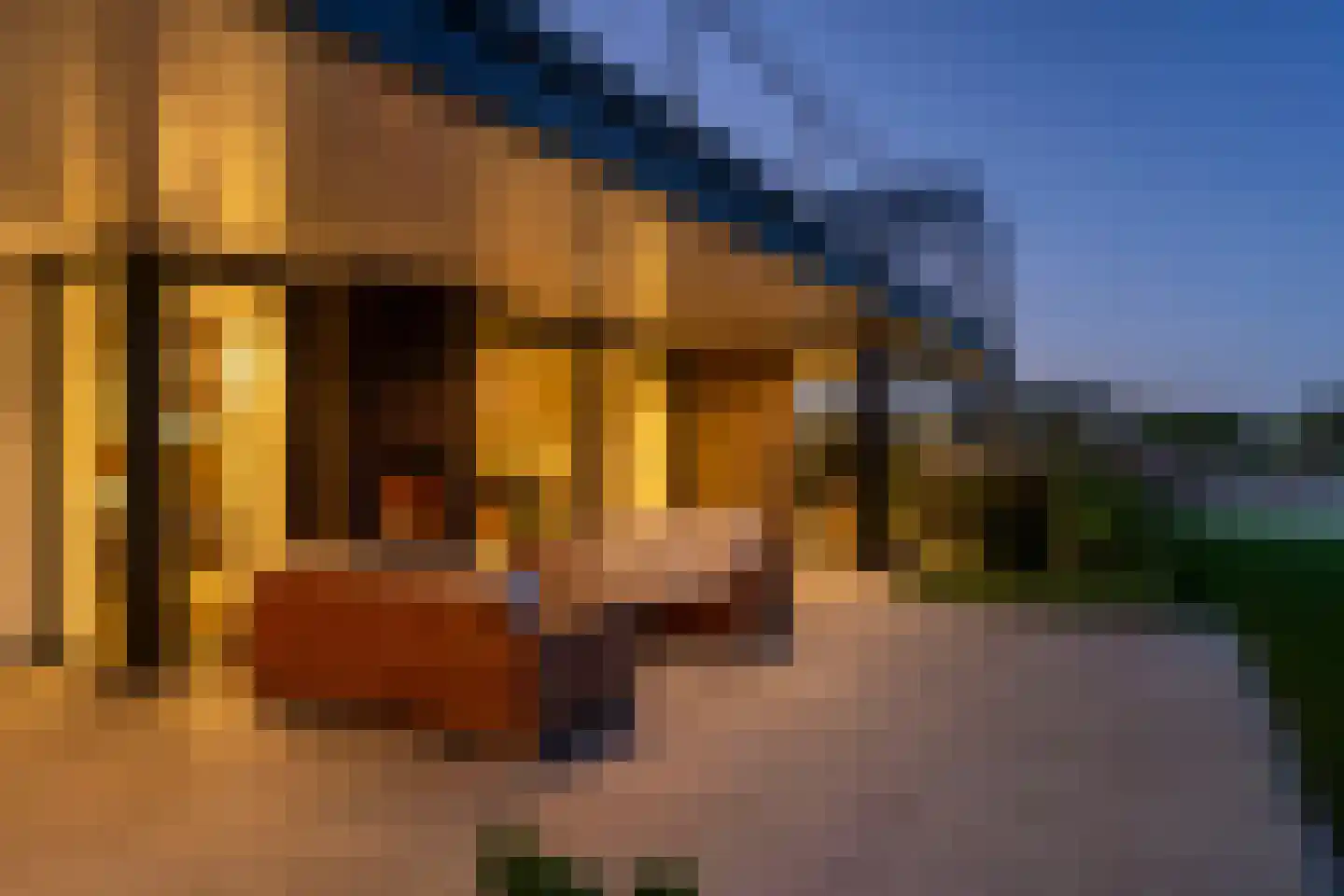 Groene Grens 46 Veenendaal thumbnail 34