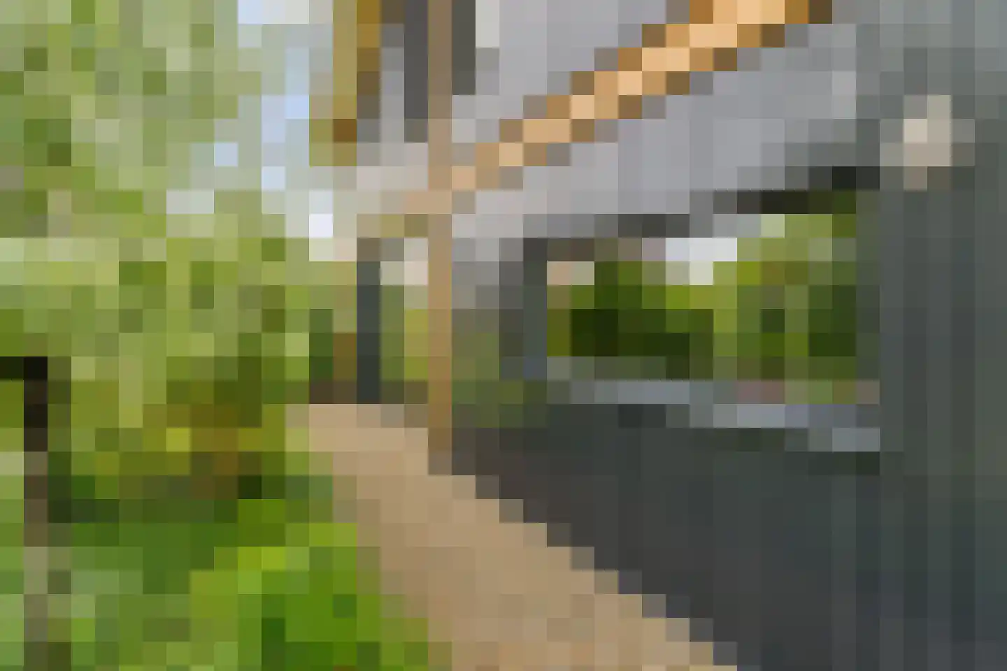 Groene Grens 6 Veenendaal thumbnail 12