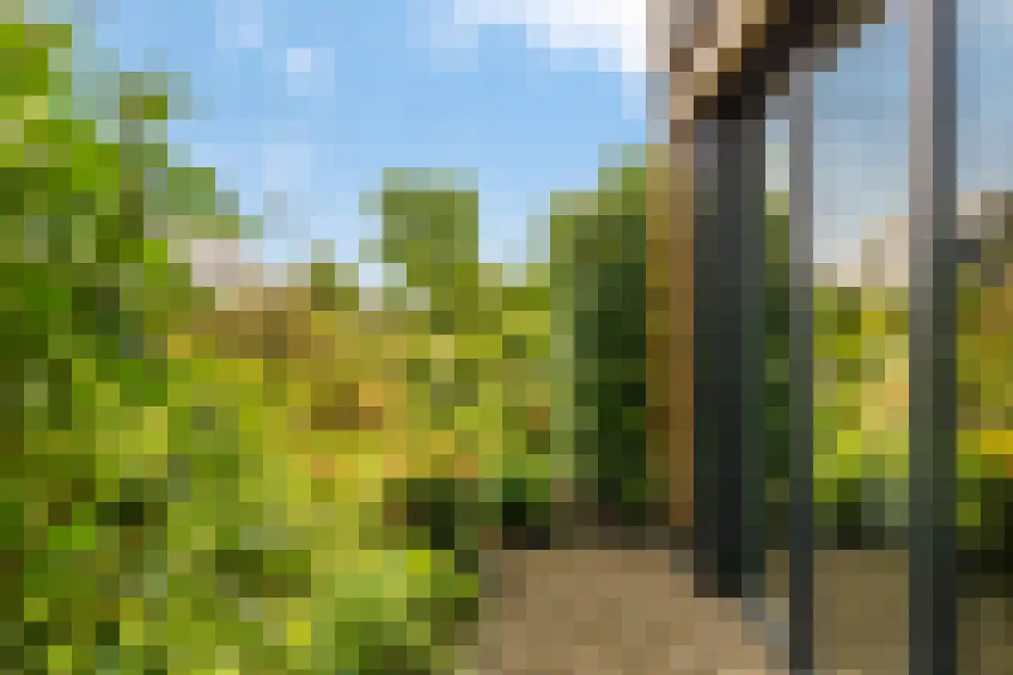 Groene Grens 6 Veenendaal thumbnail 13