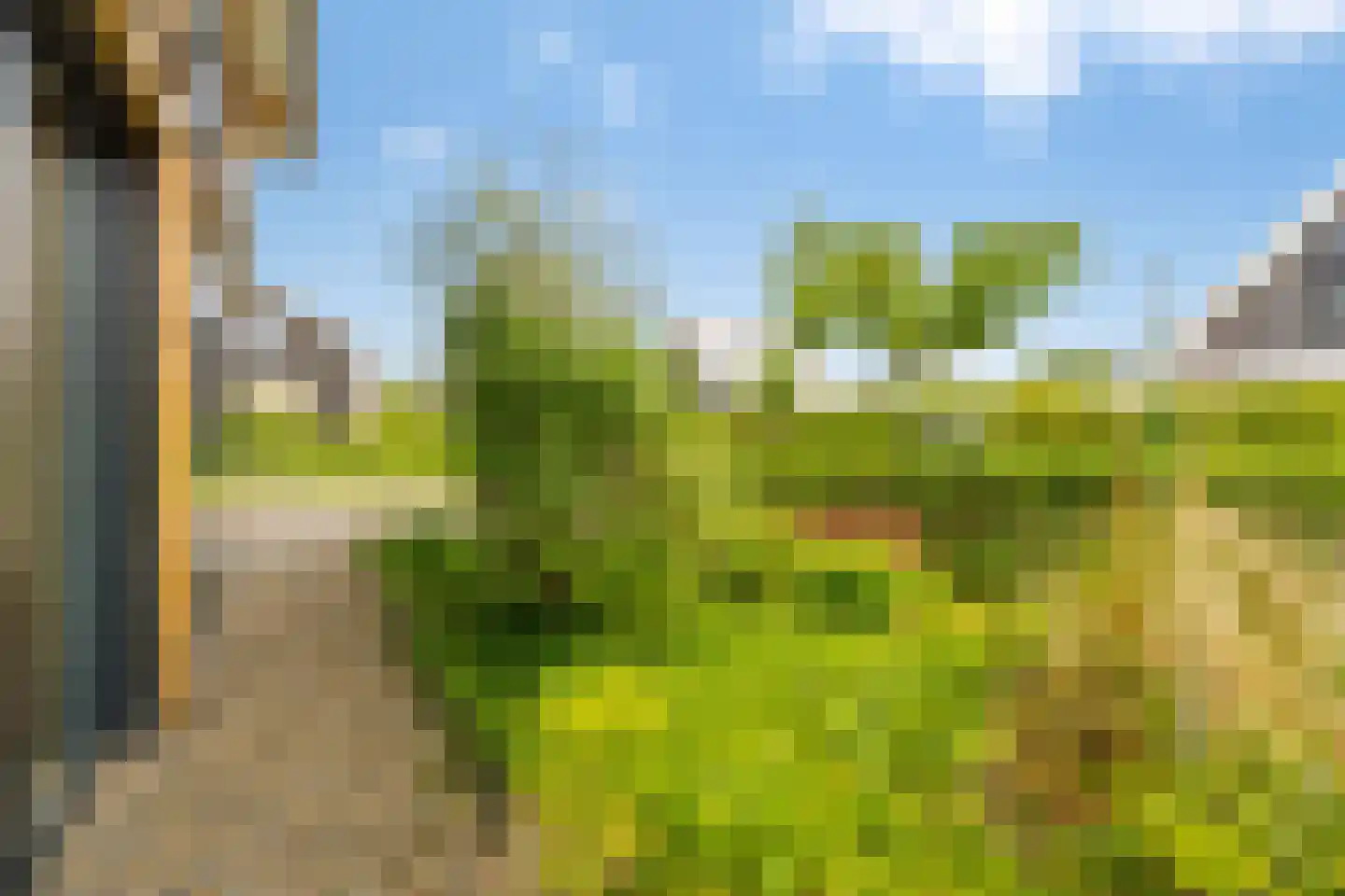 Groene Grens 6 Veenendaal thumbnail 14