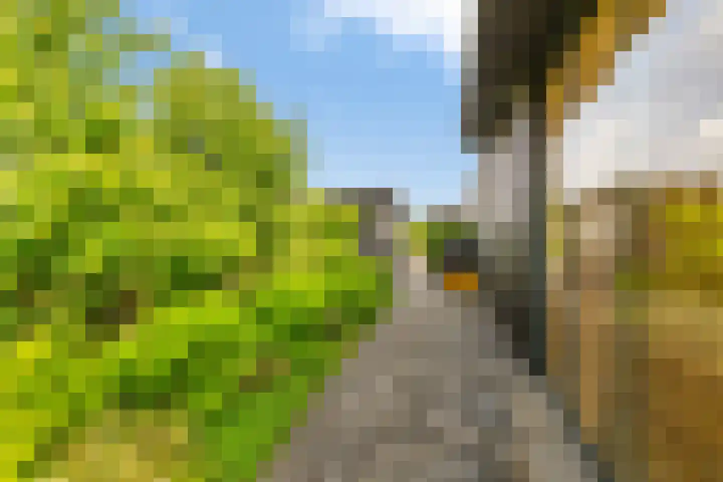 Groene Grens 6 Veenendaal thumbnail 15