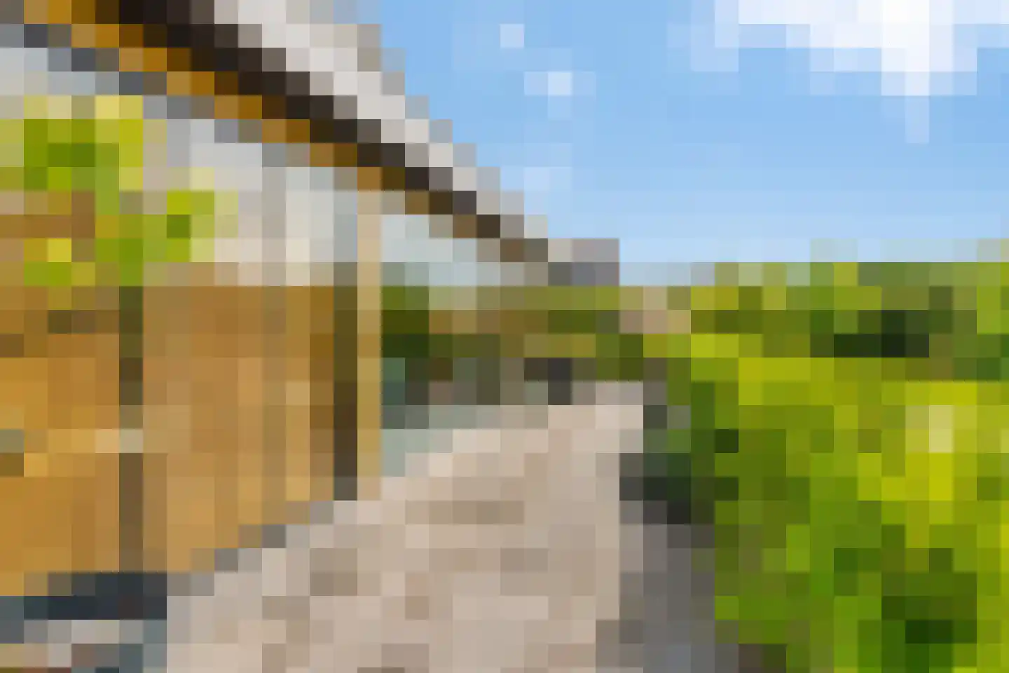 Groene Grens 6 Veenendaal thumbnail 16
