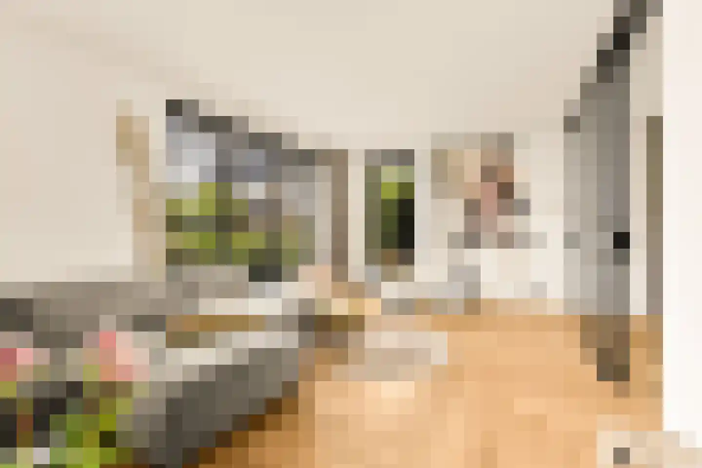 Groene Grens 6 Veenendaal thumbnail 23