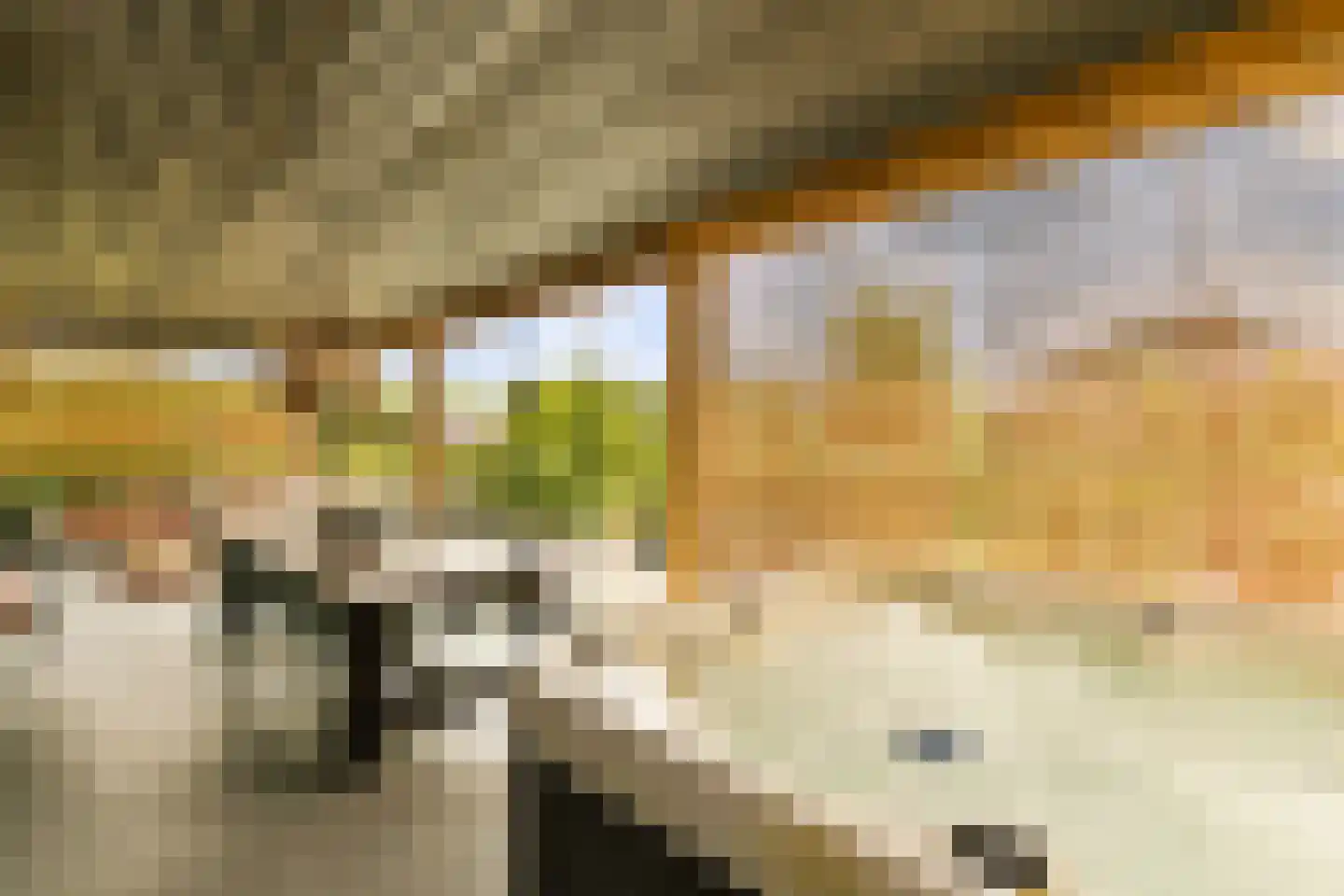 Groene Grens 6 Veenendaal thumbnail 37