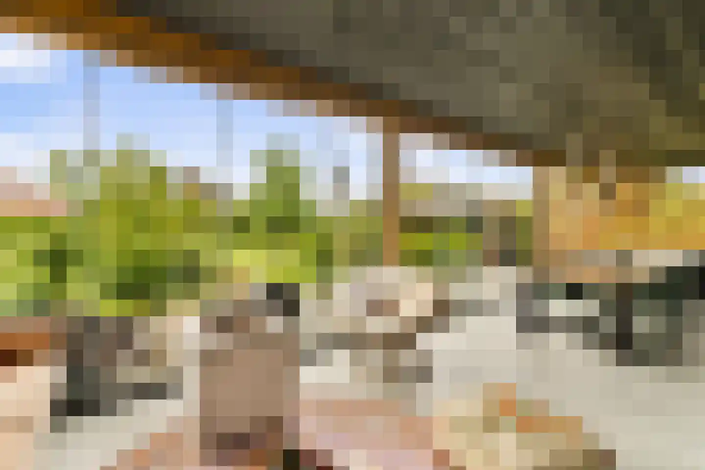 Groene Grens 6 Veenendaal thumbnail 5