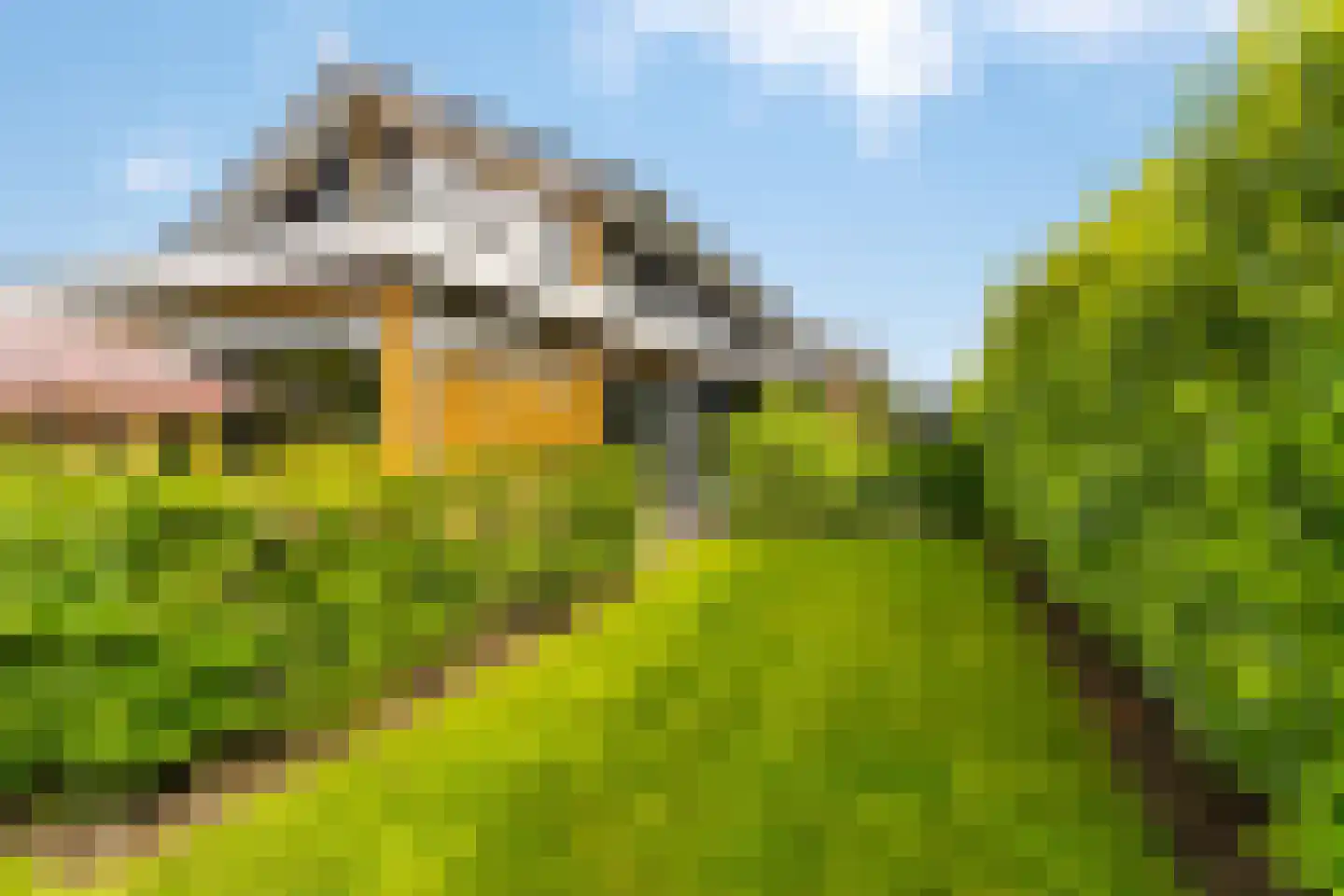 Groene Grens 6 Veenendaal thumbnail 68